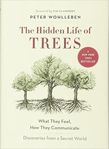 The Hidden Life of Trees: What They Feel, How They Communicate―Discoveries from A Secret World (The Mysteries of Nature, 1)